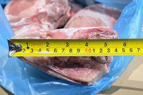 [직배송상품]돈학/포르투갈/이지도르/10kg 규격/냉동/벌크포장-직배송(냉동차량,무료)