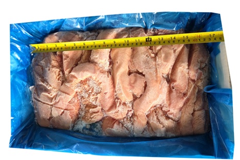 [직배송상품]막창/멕시코/사사(세나돈)/TIF 57/10kg 규격/냉동/벌크포장-직배송(기타)