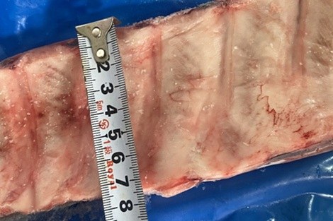썸네일 2