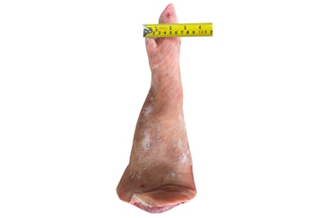 썸네일 2