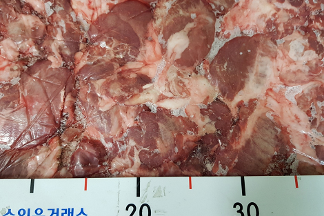 썸네일 4