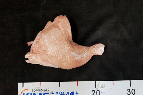 썸네일 4