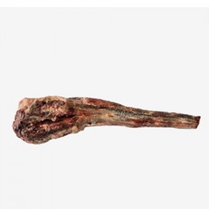 [직배송상품]소꼬리/호주/하비/Beef(A)/냉동/개별포장-직배송(기타)