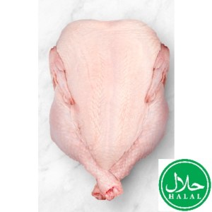 [직배송상품]통닭/브라질/시에라/냉동/개별포장-직배송(냉동차량,무료)